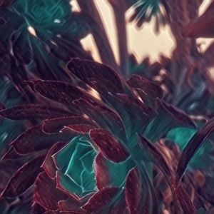 Meet your Posher, Jio